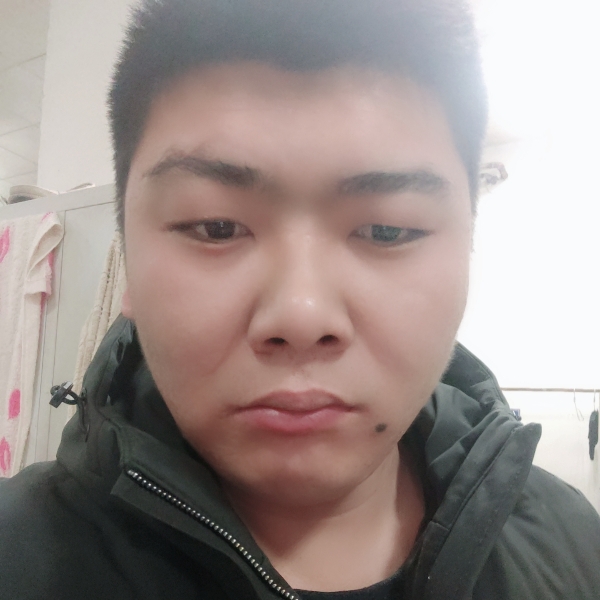 消失的狮子的照片