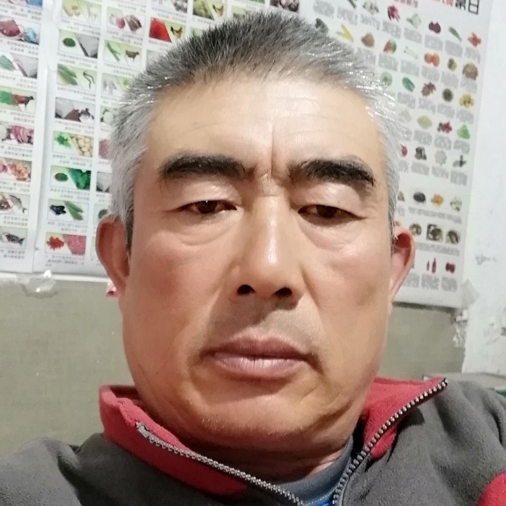 彩色锦瑟的照片