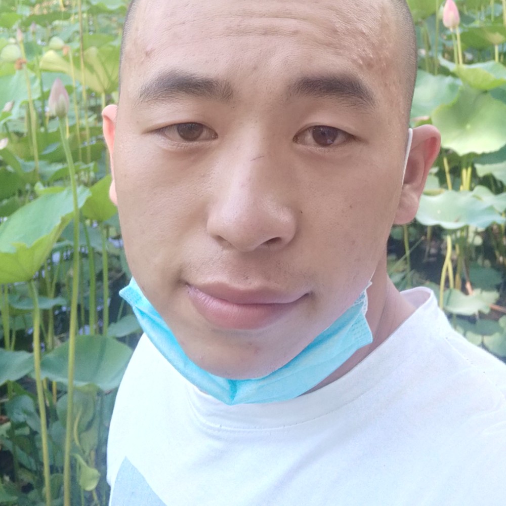 快乐陪伴。的照片
