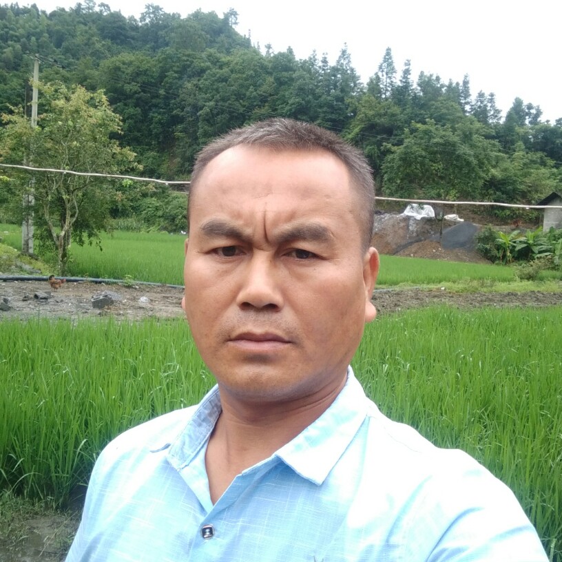 书本风趣的照片