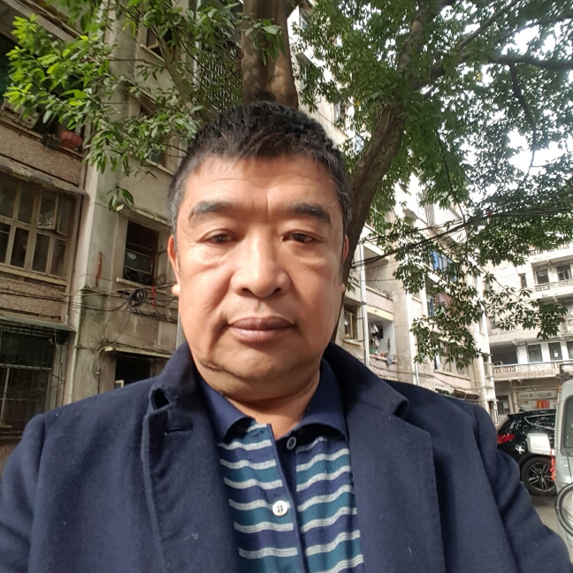 阳光大象的照片