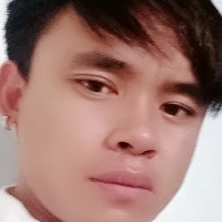 红牛的粗暴的照片