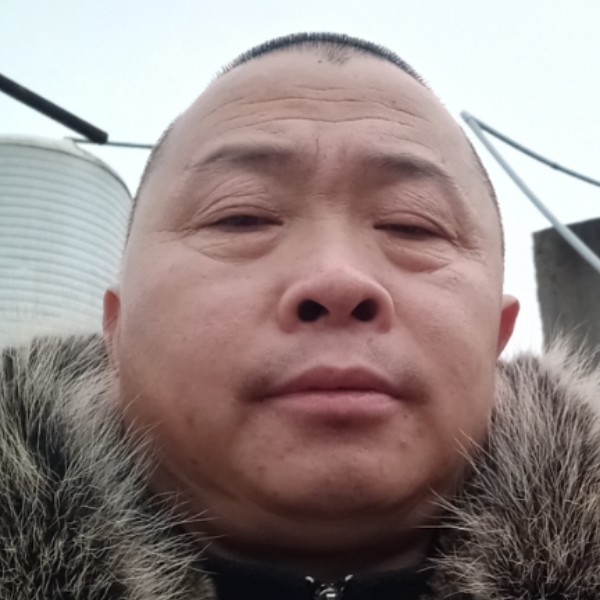 玫瑰等于过时的照片