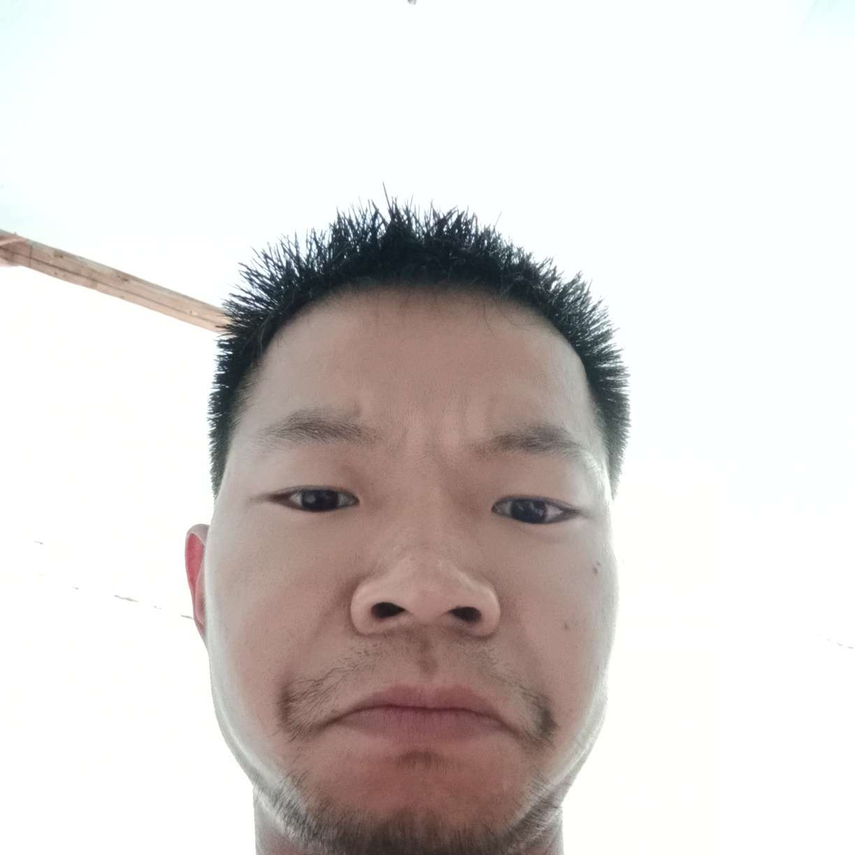 红尘向浮生的照片