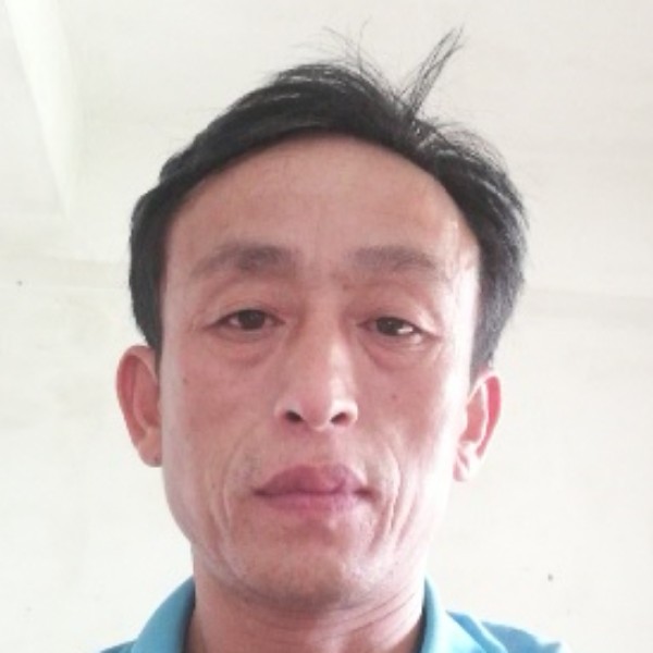 纸鹤浅吻丰富的照片