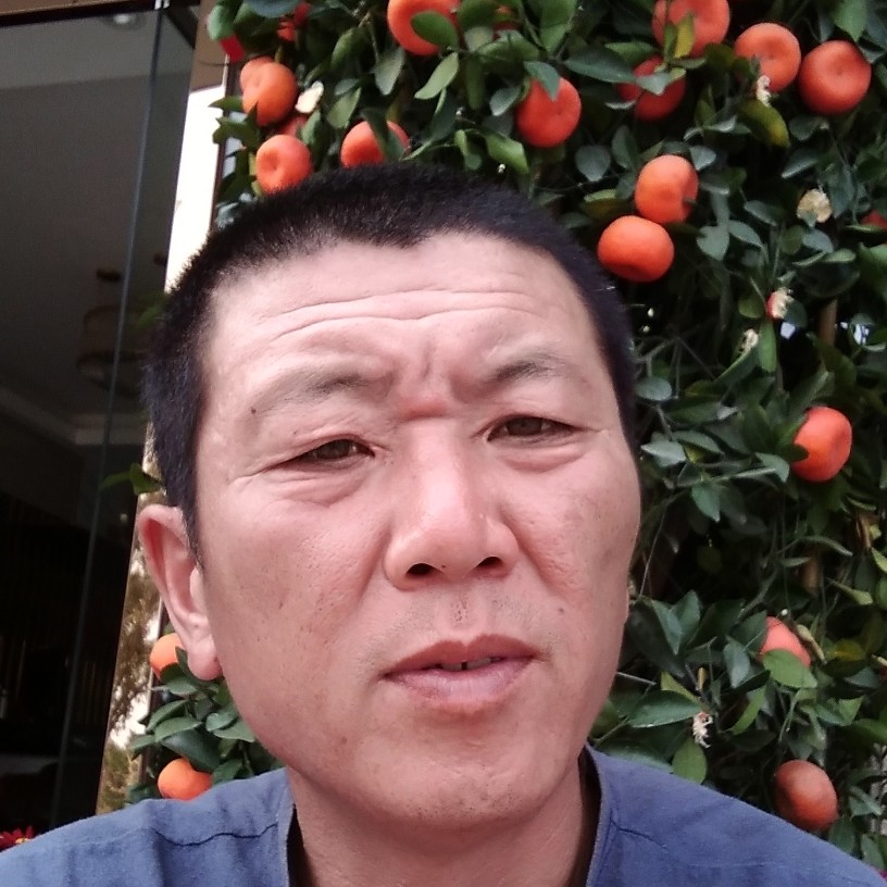 独情狼的照片