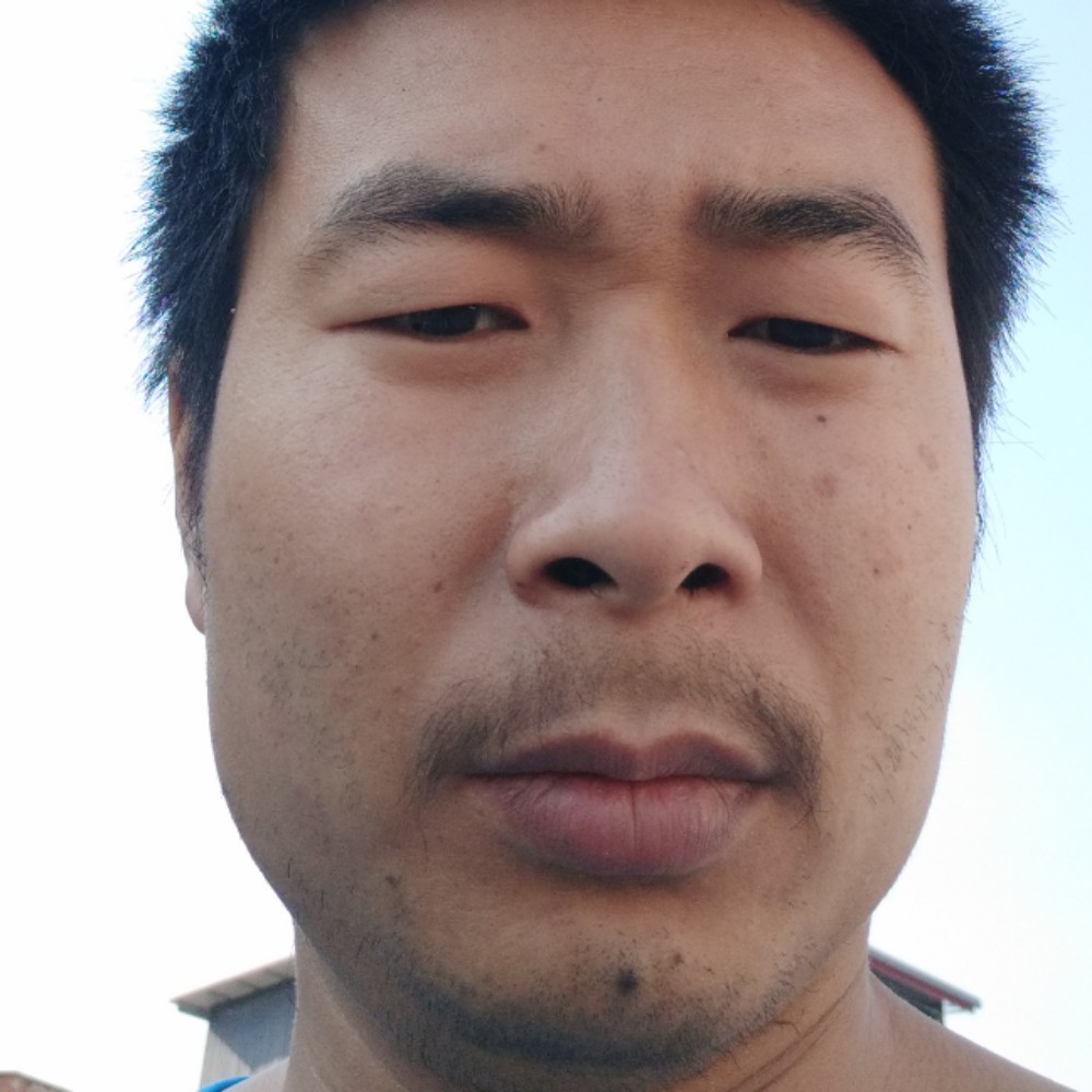 梦随风起的照片
