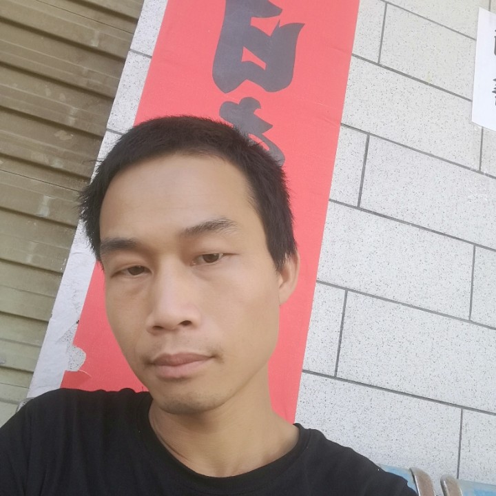 自信保卫狗的照片