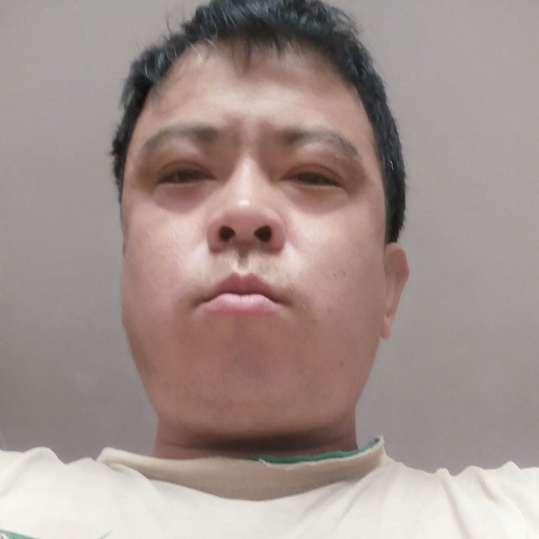 斑驳迎路人的照片