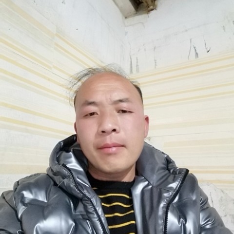 俭朴蹙眉晨曦的照片