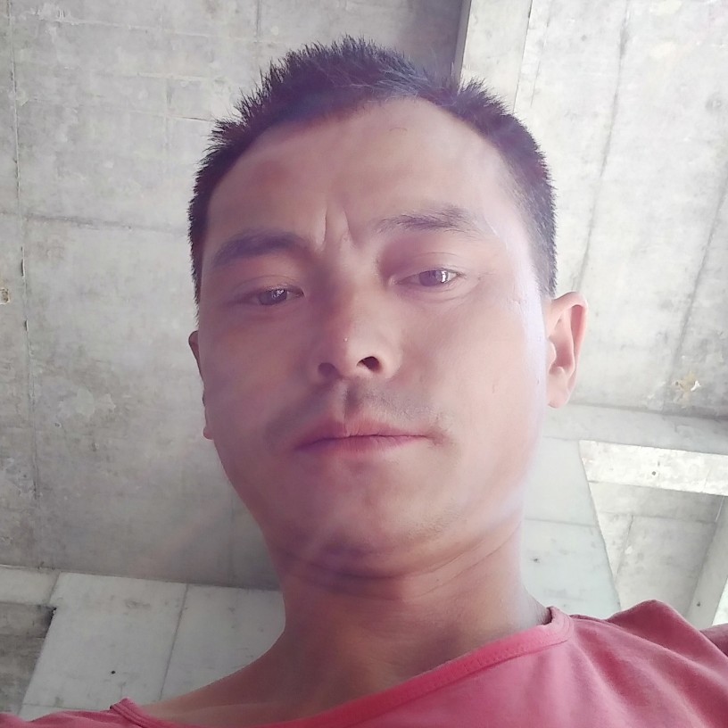 长颈鹿就热情的照片