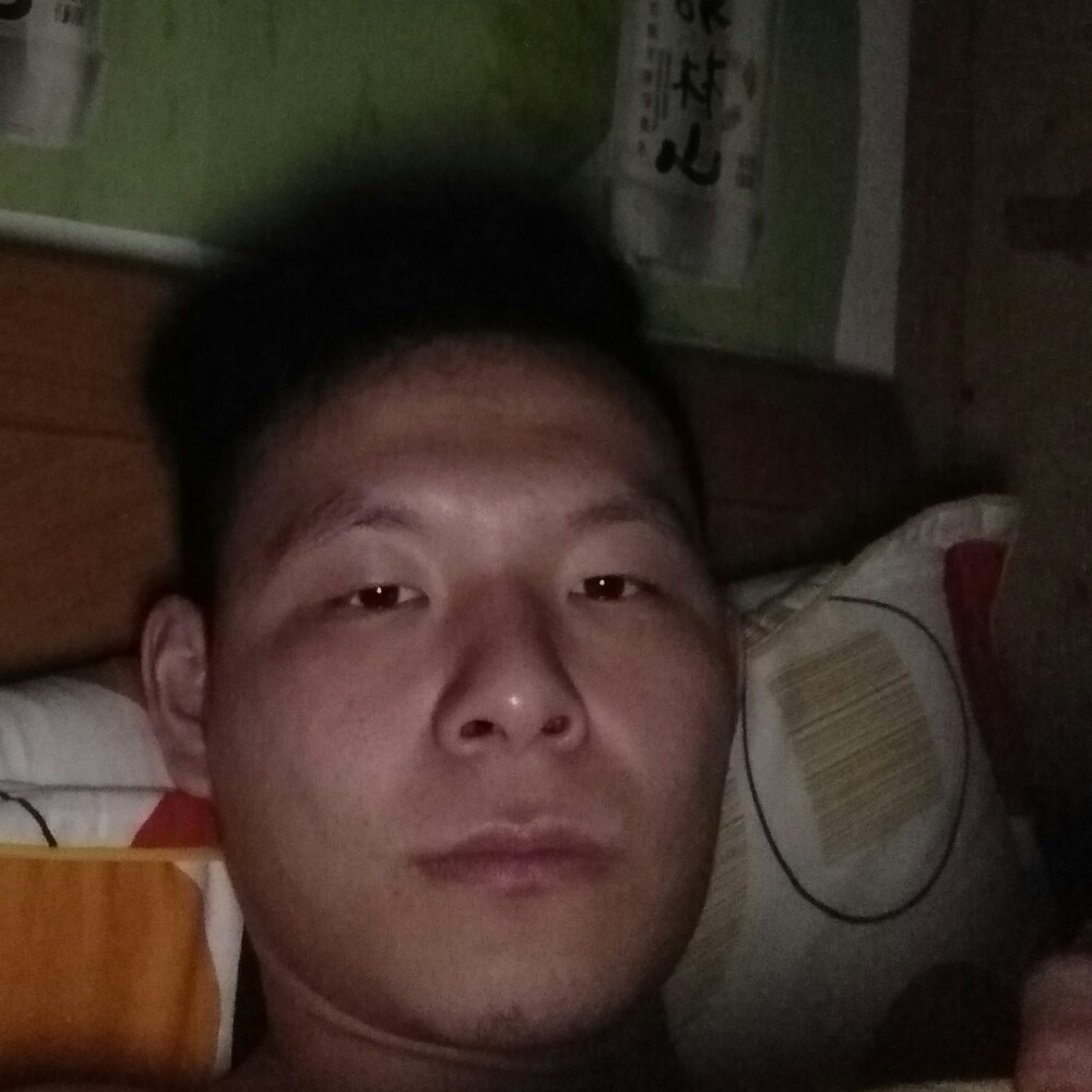 卷毛2的照片