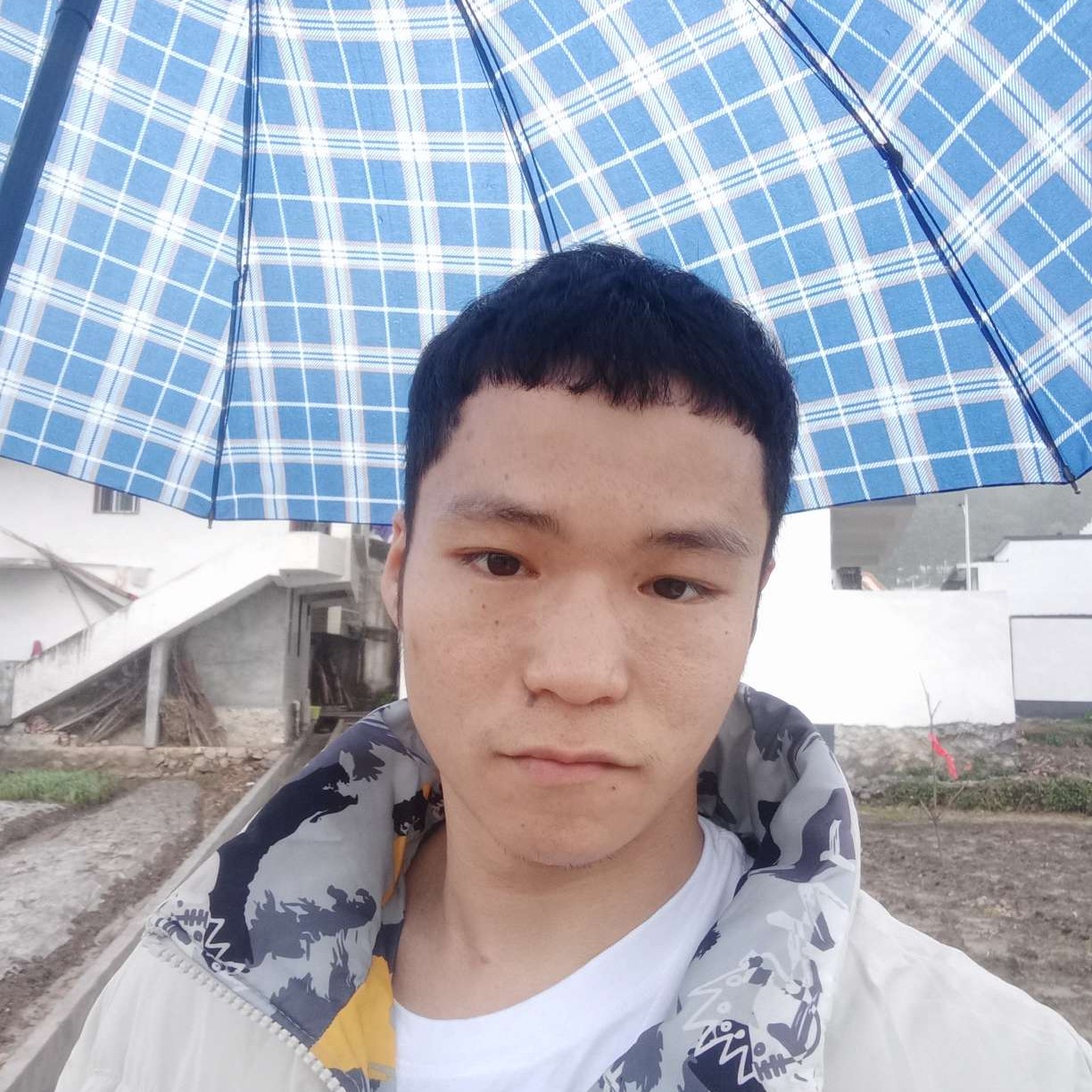 踏实方故事的照片