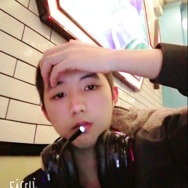 羽毛的羽的照片