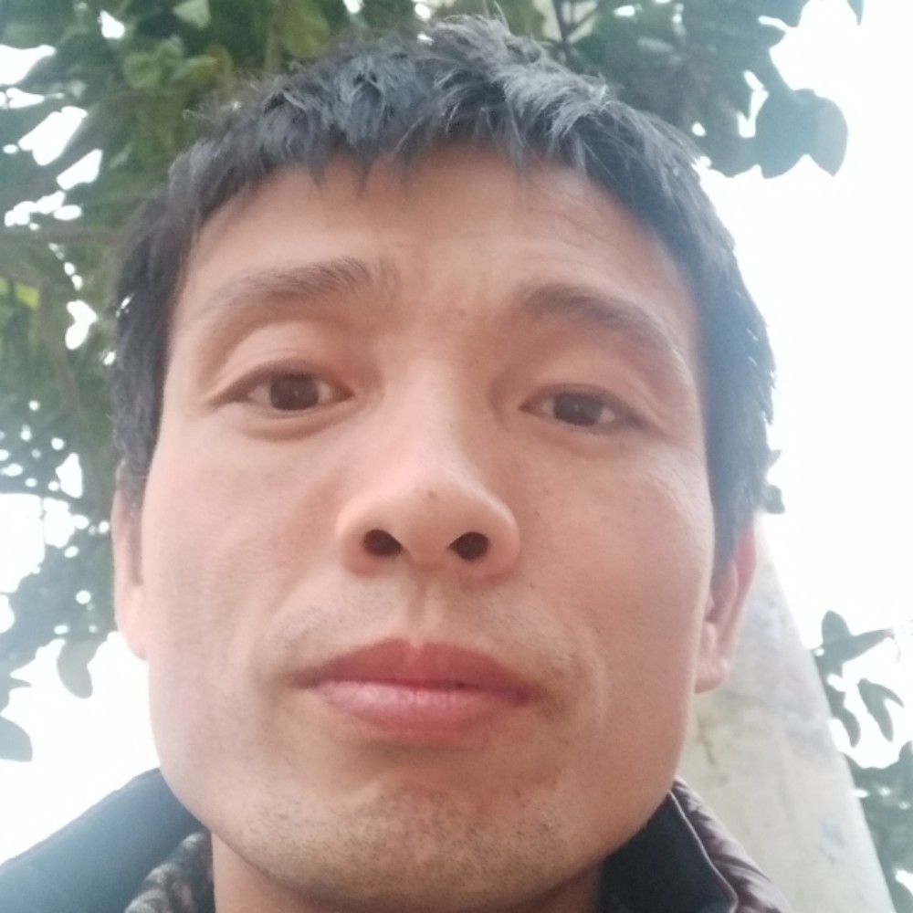 伐号的照片