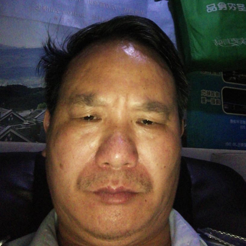 放飞梦松的照片