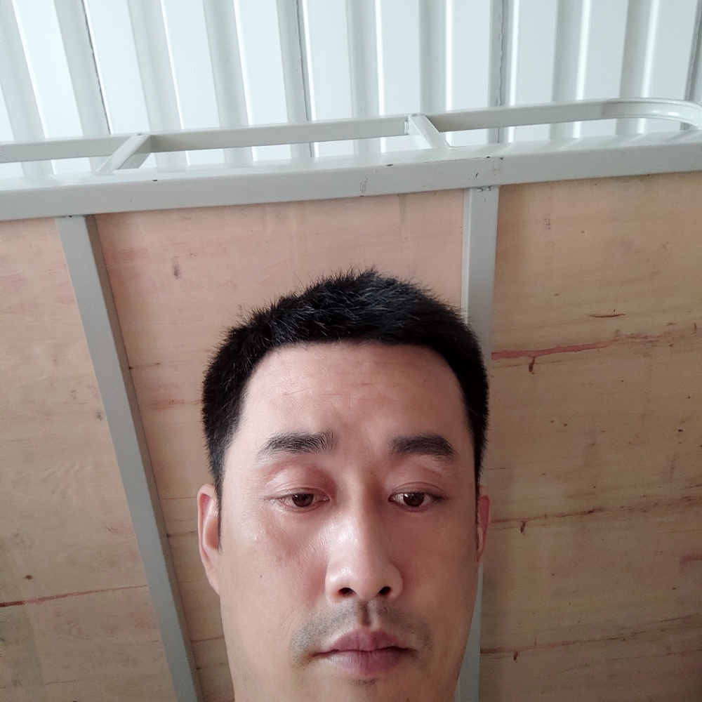 落寞和绝影的照片