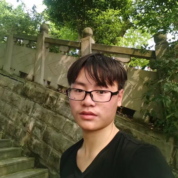 痴情和大雁的照片