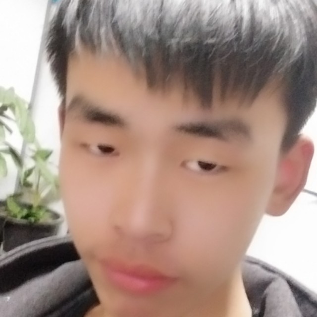 机器猫危机的照片