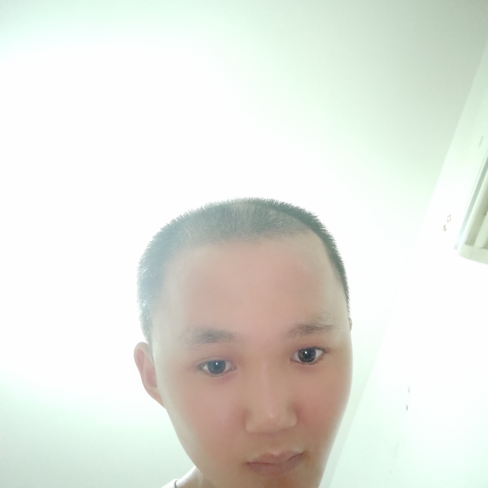 一个花的照片