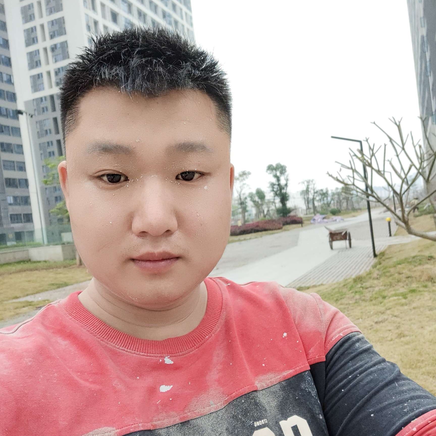 清茶的照片