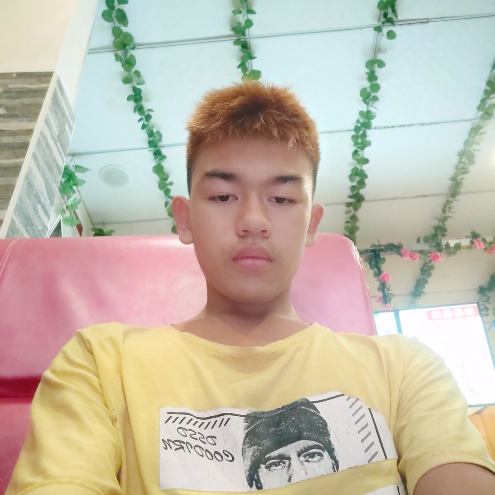夜宫的照片