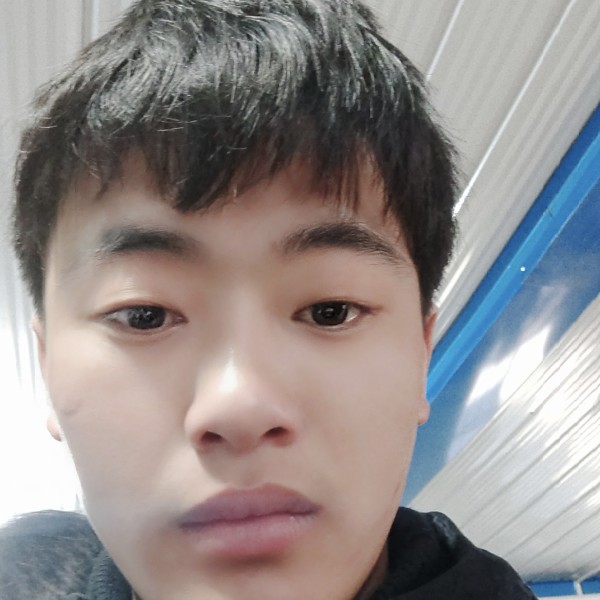 柠檬健忘的照片