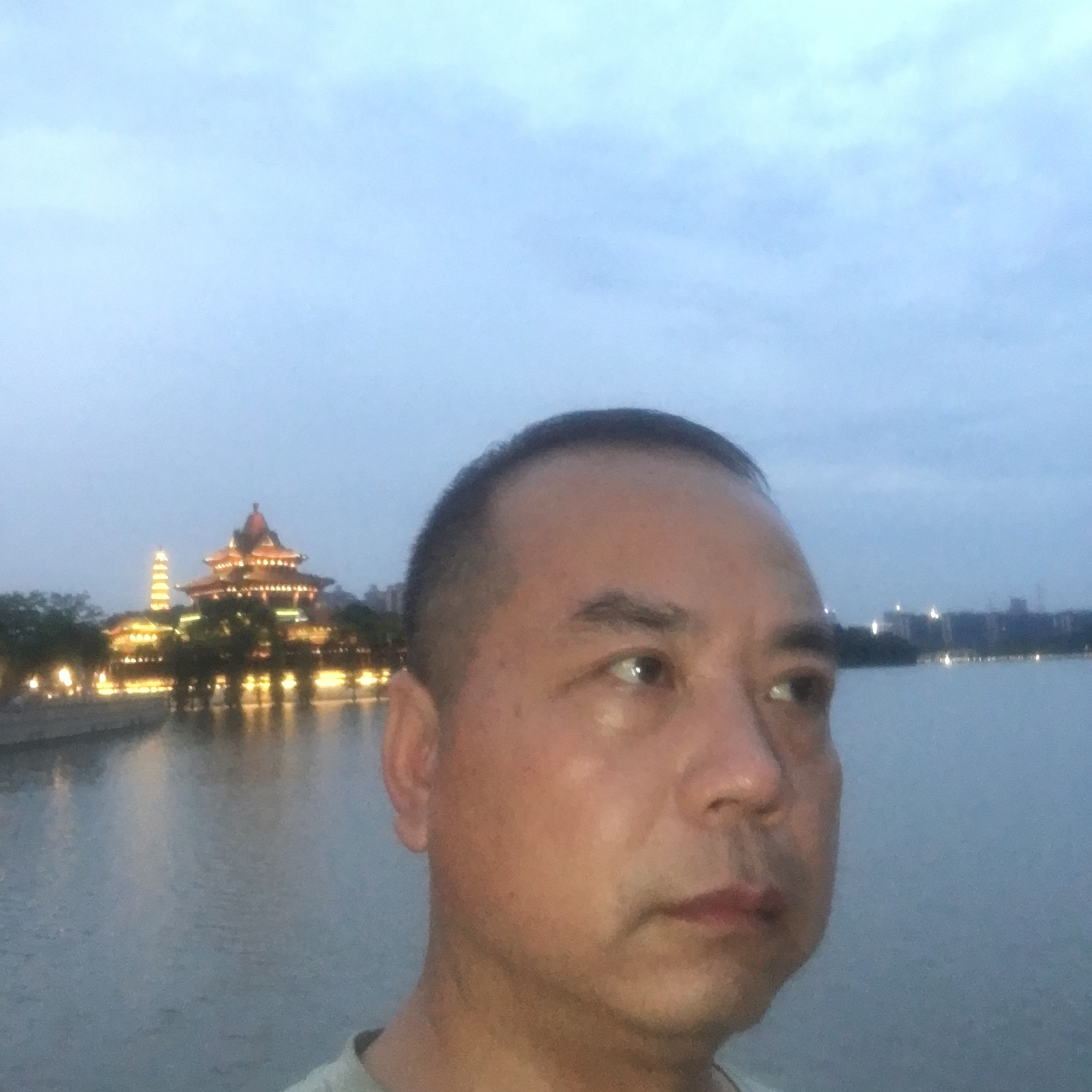 小蚂蚁停止负责的照片