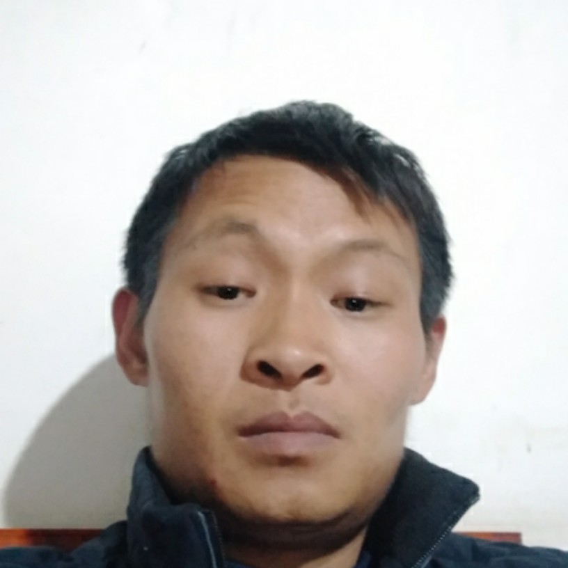 黛儿迅速的照片