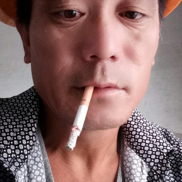 大炮苦恋鲤鱼的照片