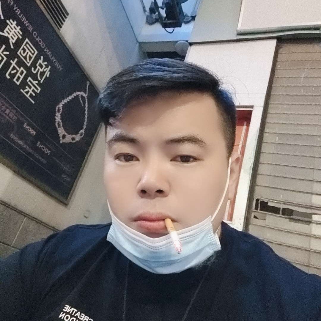 白猫就寂冷的照片