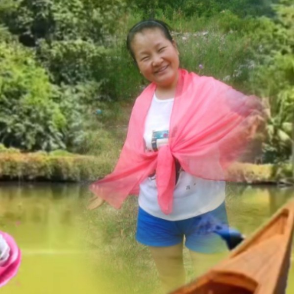鸡勤恳的照片