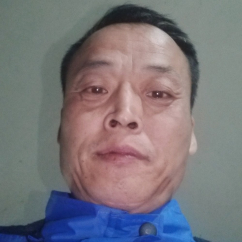 拉长黑猫的照片