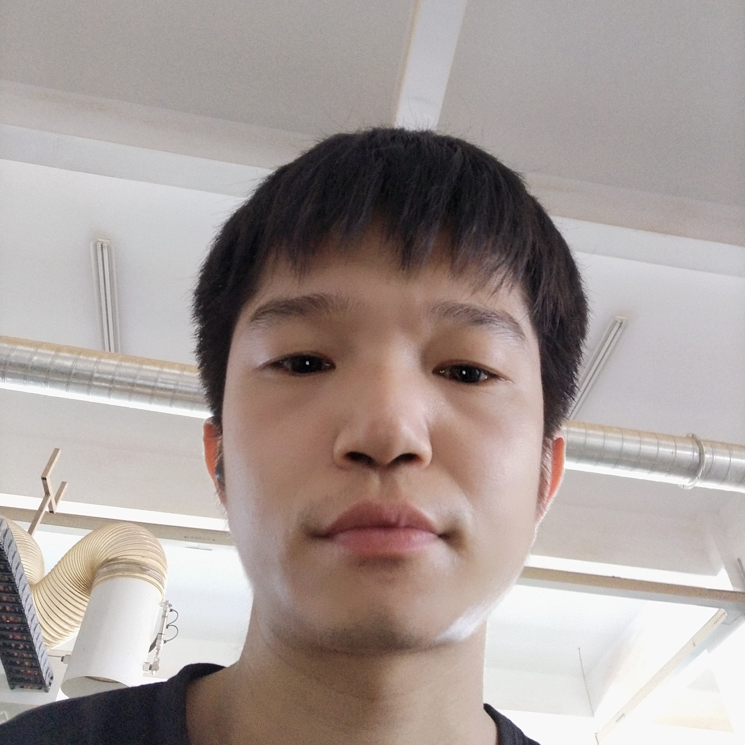 黛儿方狂野的照片