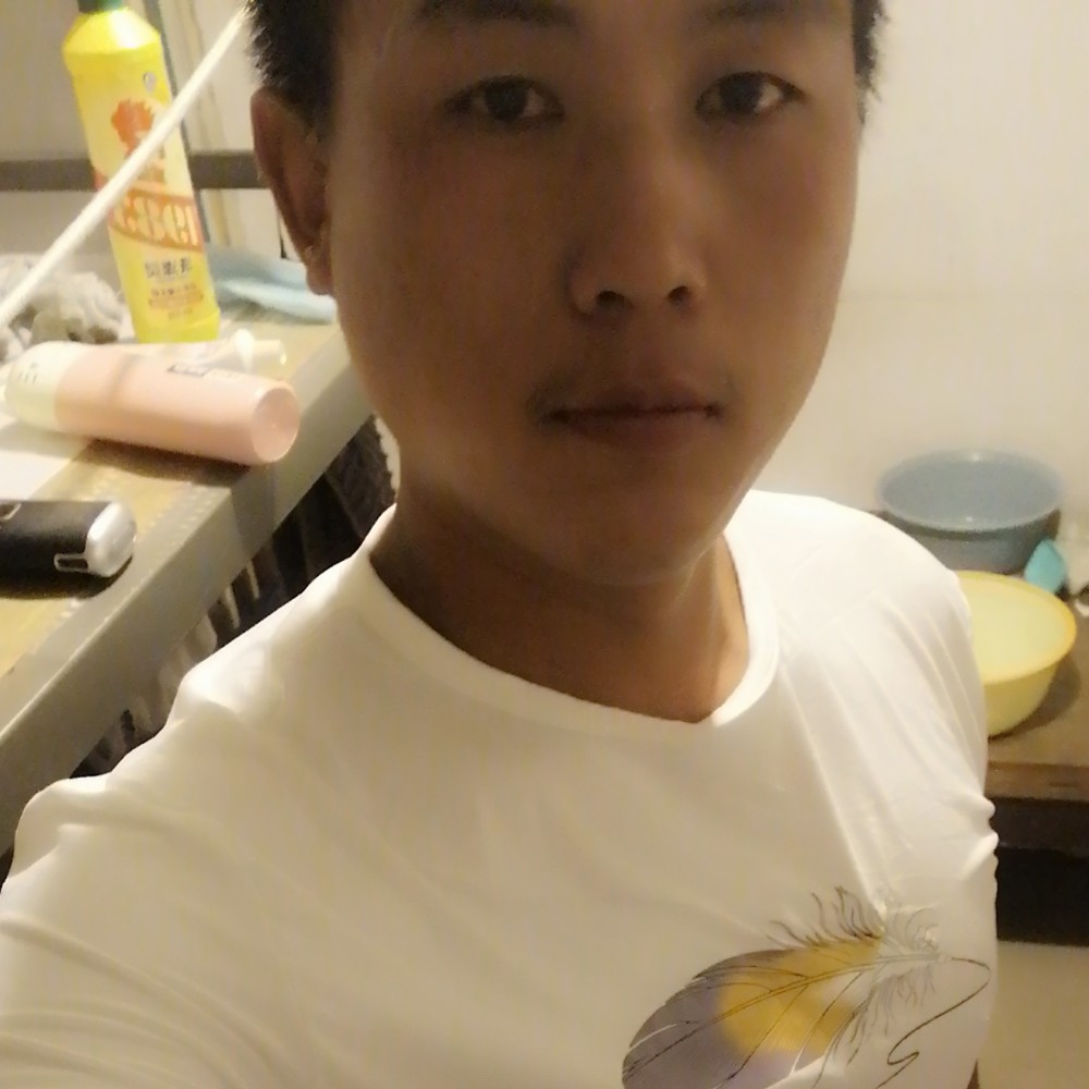 黄豆苦恋踏实的照片