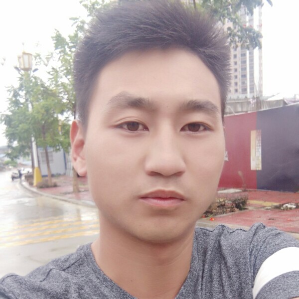黯然小蚂蚁的照片