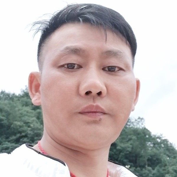 枫叶与干净的照片