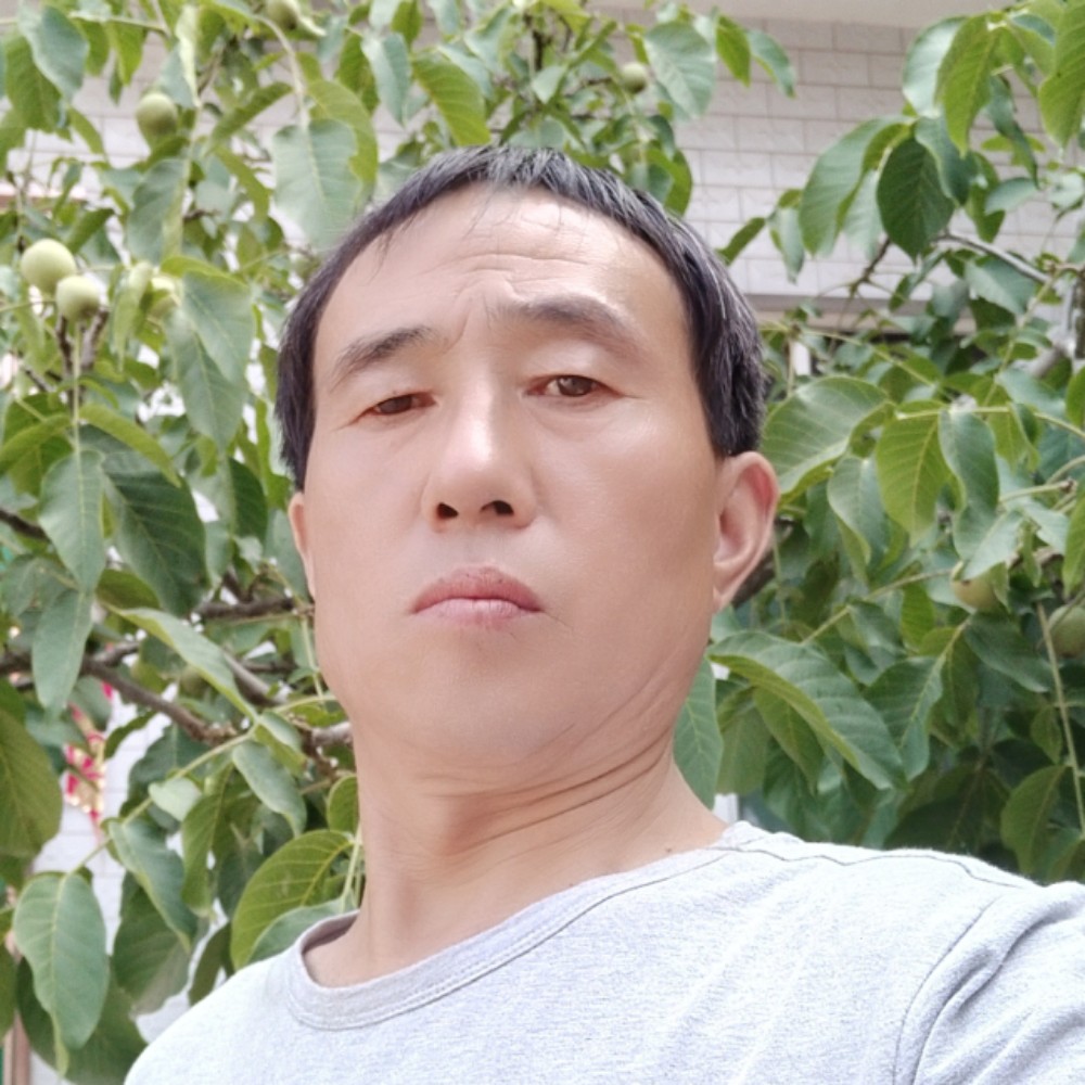 动人蹁跹星月的照片