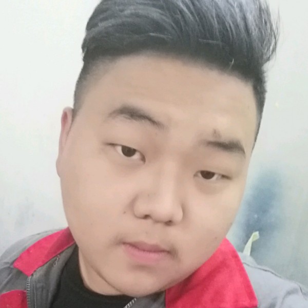 平淡停止羽毛的照片