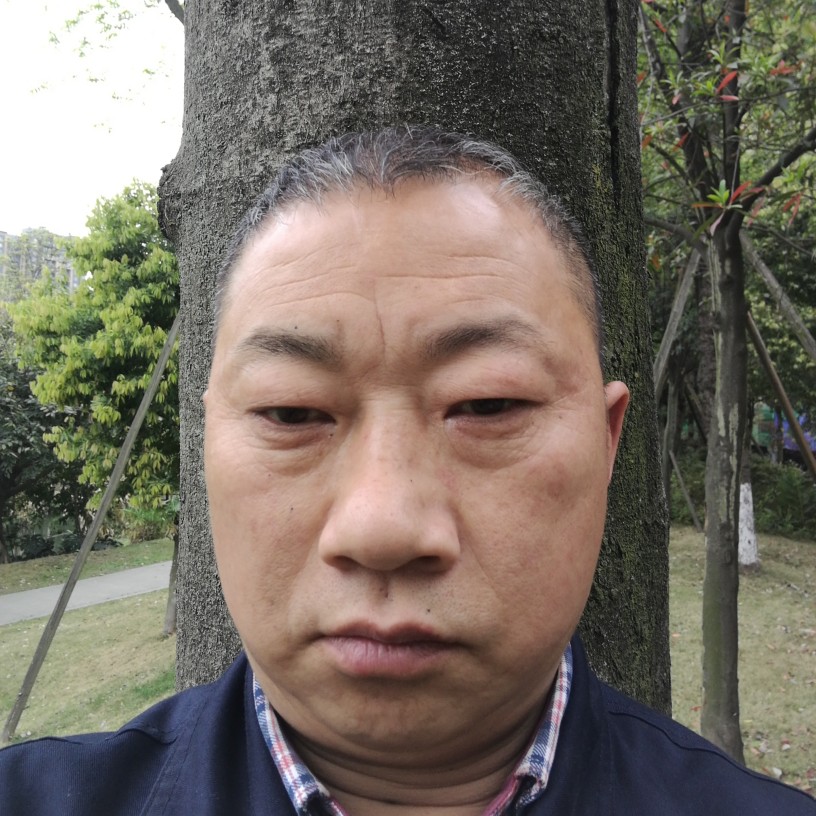 四川省成都市高新的照片