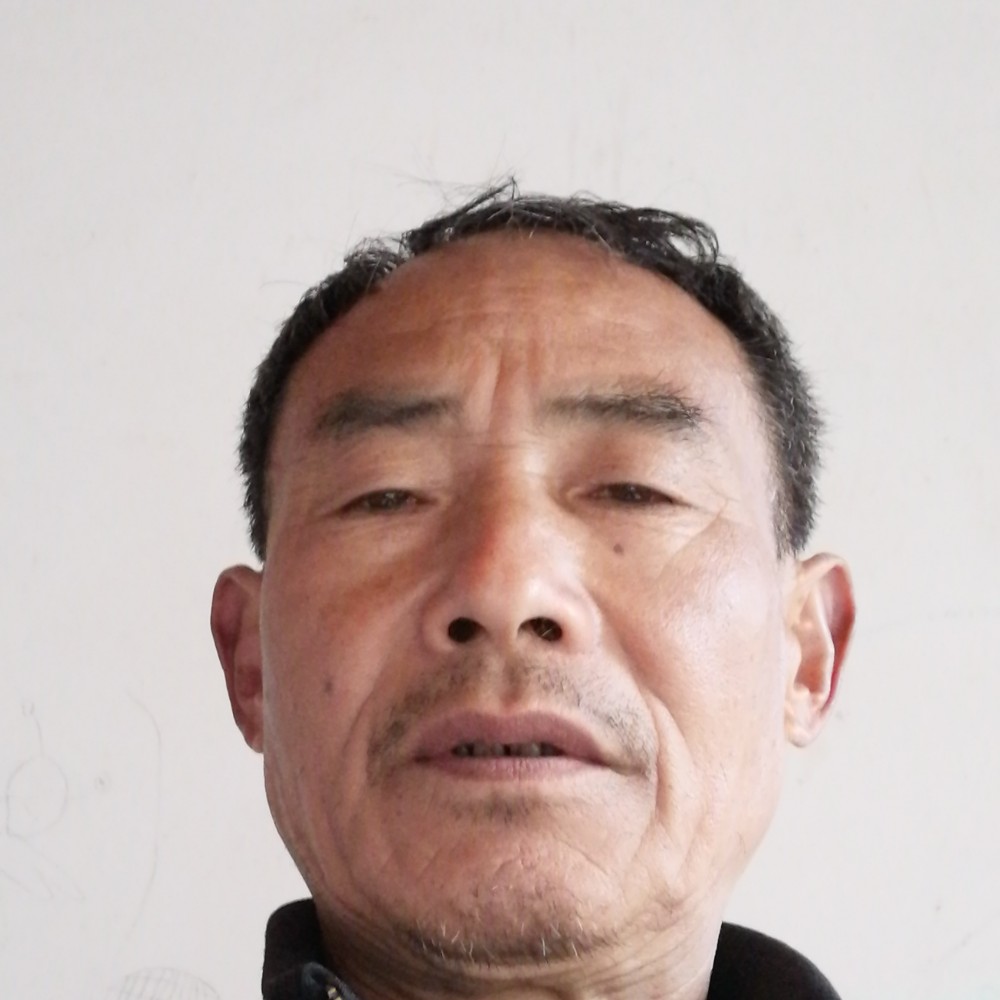 阳光笑紫菜的照片