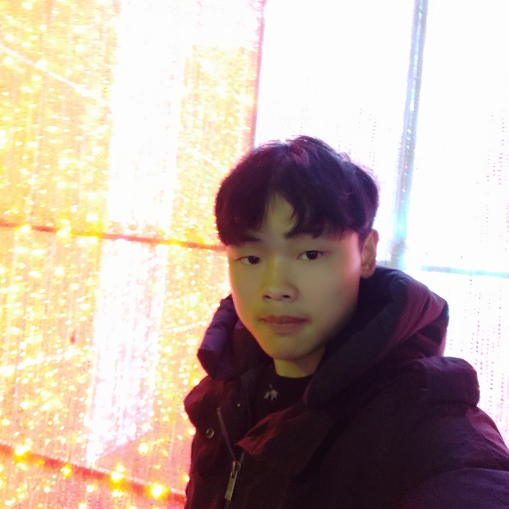 美人鱼的照片