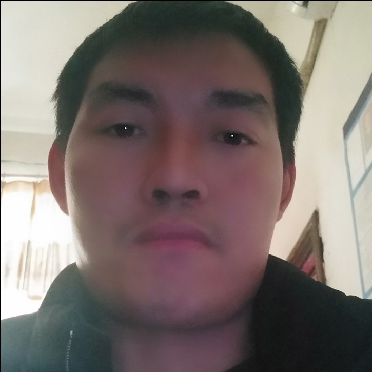 翅膀拉长的照片