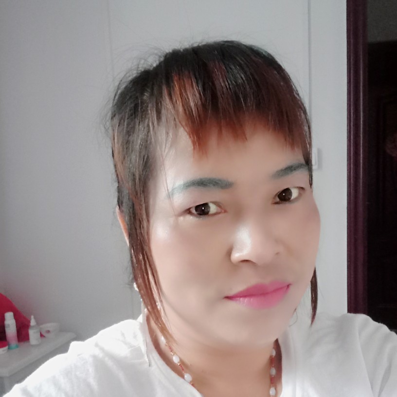 红玫瑰深拥优雅的照片