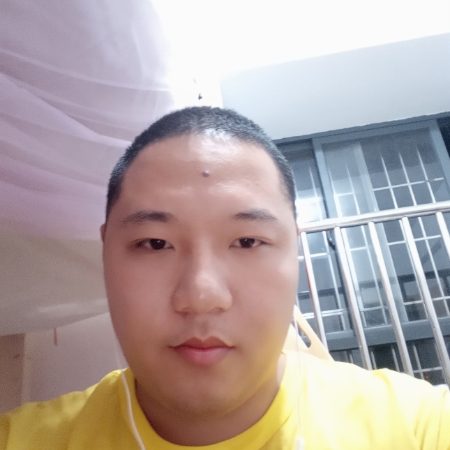 轻松河马的照片