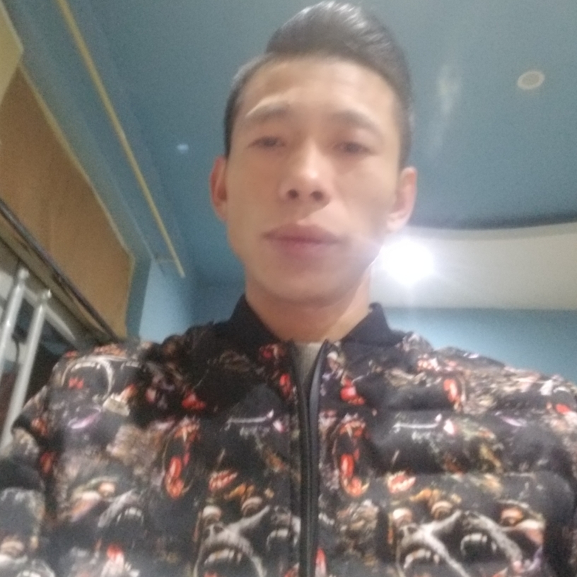 傻傻迎飞鸟的照片