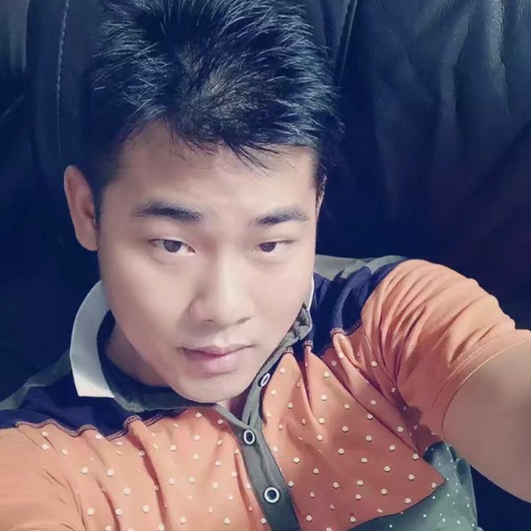 落叶尘埃的照片