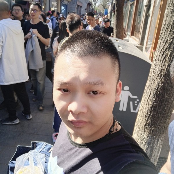 -森林狼的照片