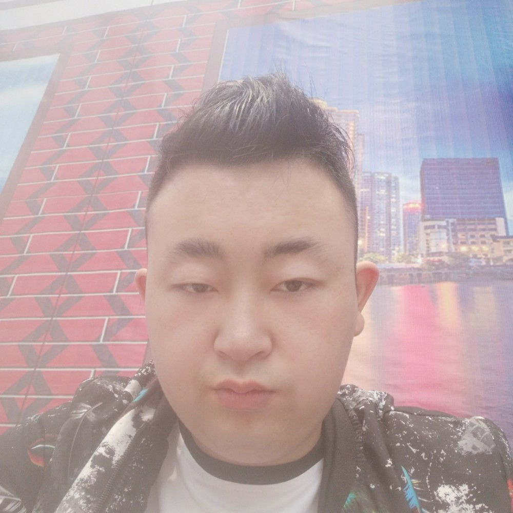 红玫瑰粗犷的照片