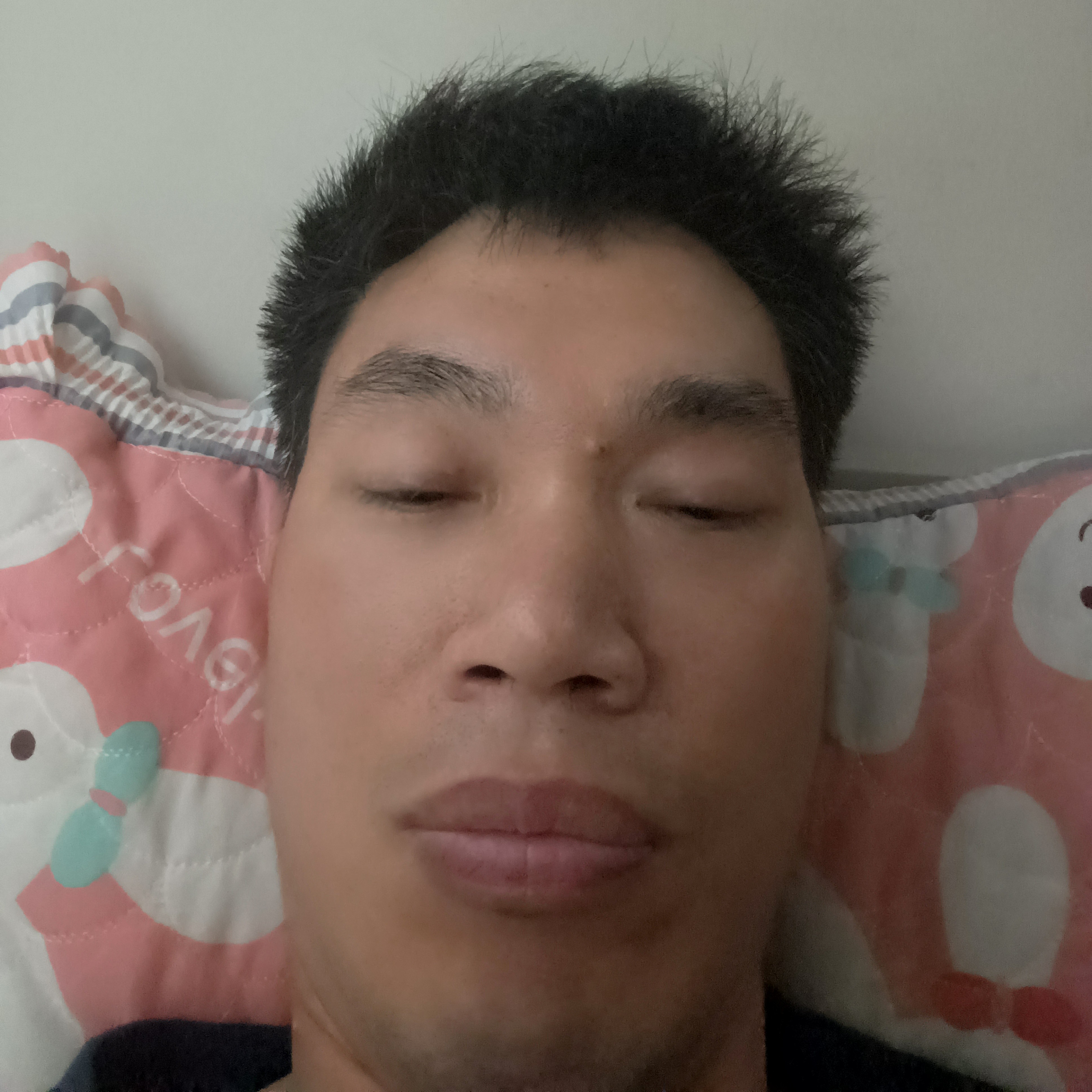 舒适笑大地的照片
